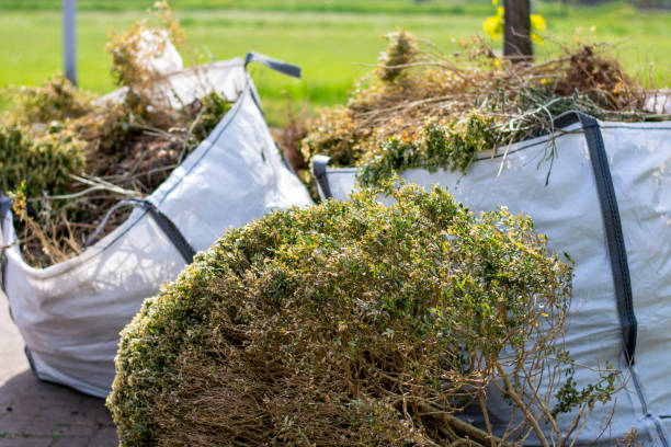 Best Demolition Debris Removal  in Ignacio, CO